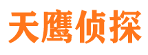 墨玉调查公司